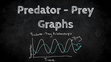 Predator Prey Graphing