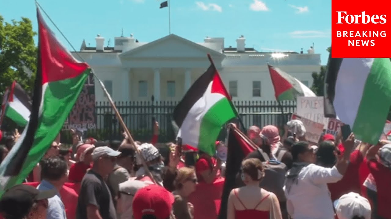 JUST IN: Protestors Calling For Israel-Hamas Ceasefire Gather On White House Lawn