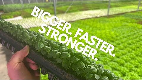 Growth and Germination Tips and A Fun Experiment!