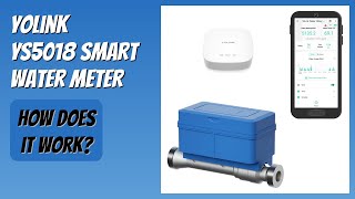 REVIEW (2026): YoLink YS5018 Smart Water Meter. Features