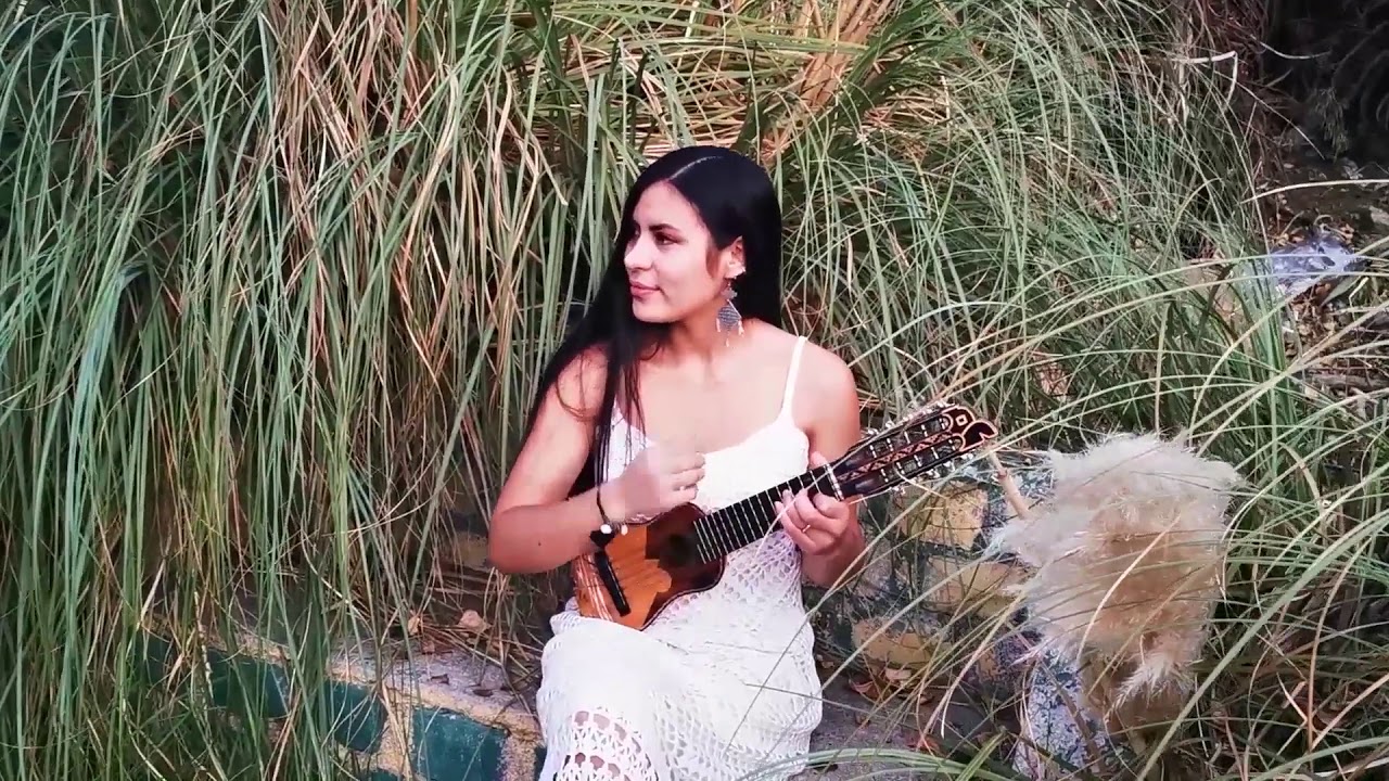 musica andina instrumental (Rio de la Vida) - YouTube