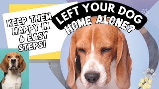 Home Alone? How to Keep Your Dog Happy