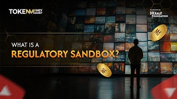 The SHOCKING Truth About REGULATORY SANDBOX Nobody Tells You