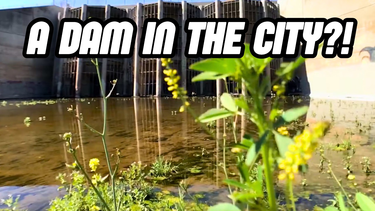 Why Is There a Dam This Big in Los Angeles? | Hansen Dam