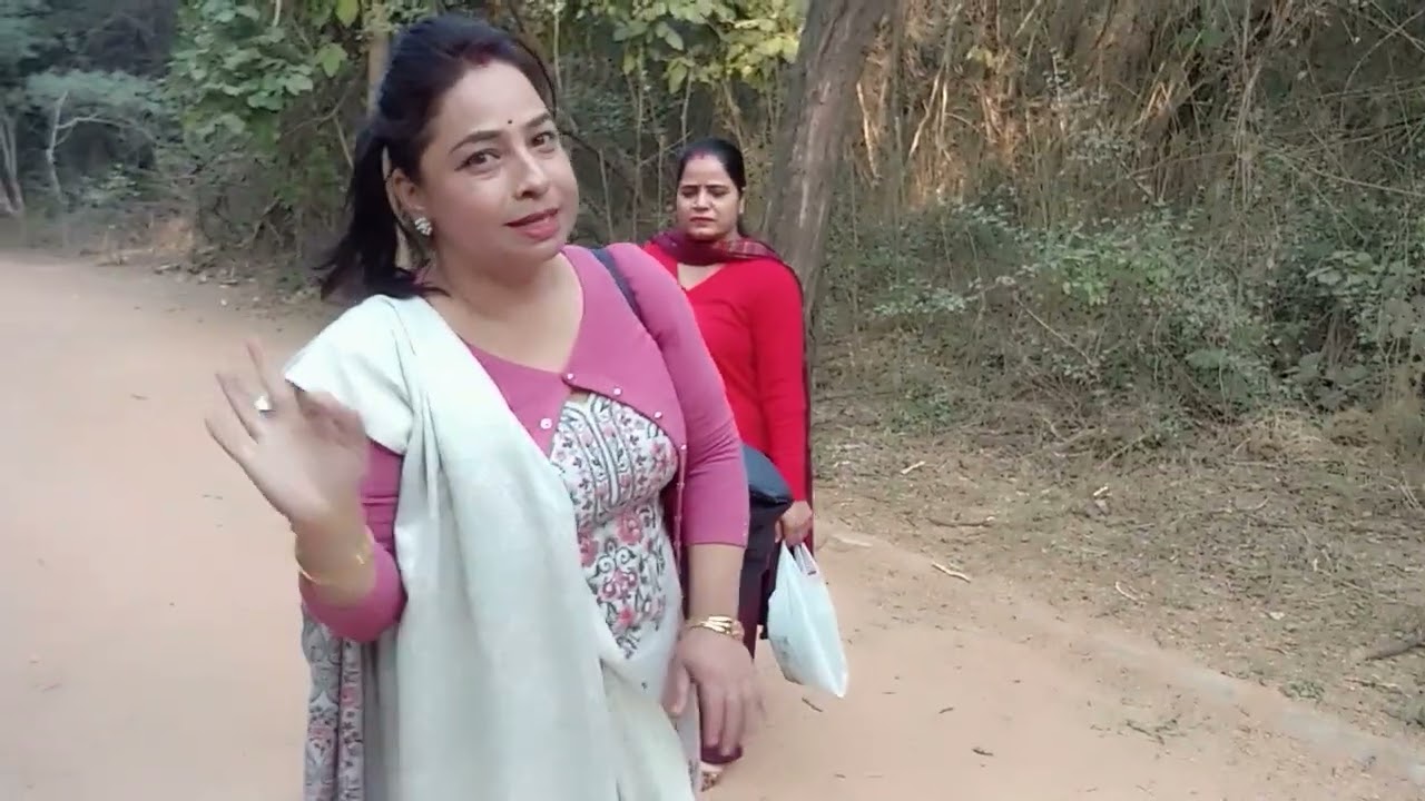 आपकी अपनी पहाड़न दिल्ली में लकड़ी ले जाती हुई आग सेकने के लिए 