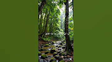 يا أيها الإنسان ما هذا القلق أو ليس ربك قد تكفل ما خلق 