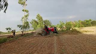 I broke many tree's with my tractor MF385 and unleasing the stunts in walk-around video by King motors 36 views 4 days ago 4 minutes, 3 seconds