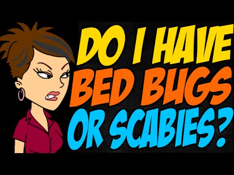 Video: Perbedaan Antara Scabies Dan Bed Bugs