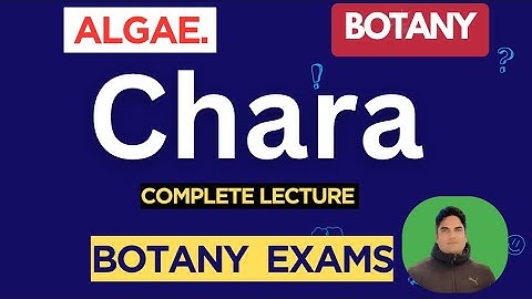 Chara | Green Algae | Botany | #BotanyExamPrep 