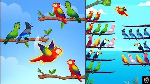 Bird Sort Gameplay Walkthrough