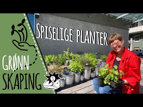 Video: Regionale hagetips: mai planting i nordveststatene