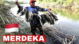 The Fierceness of Fishing in Wild Rivers Catches the Most Nile Tilapia Merdeka