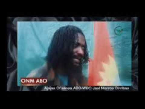 Haasawa Jaal Marroon Taasise Kutaa 1ffaa Kennaa Oromooti Marroon Dhageeffadhaa