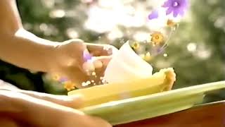 Cool Whip - Do the Cool Whip 2007