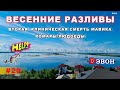 Весенние разливы. Умеет ли дрон плавать?! Атака вампиров!