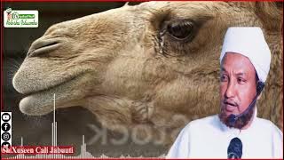 Naxariistii Nabiga Xitaa Geela Ayaa Usoo Dacwadoodey  | Sh.Xuseen Cali Jabuuti|