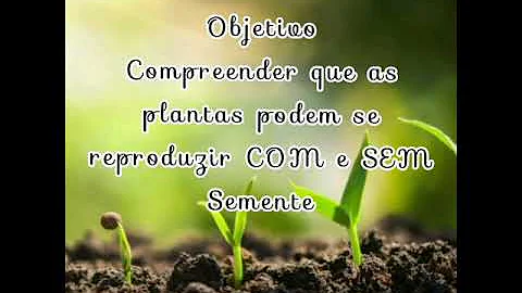 Como nascem as plantas 3 ano?
