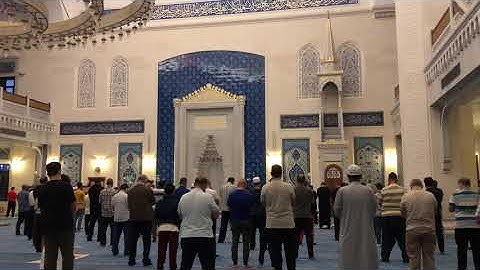 فجرية من سورة يوسف  ((وَلَا تَيْأَسُوا مِن رَّوْحِ اللَّهِ))