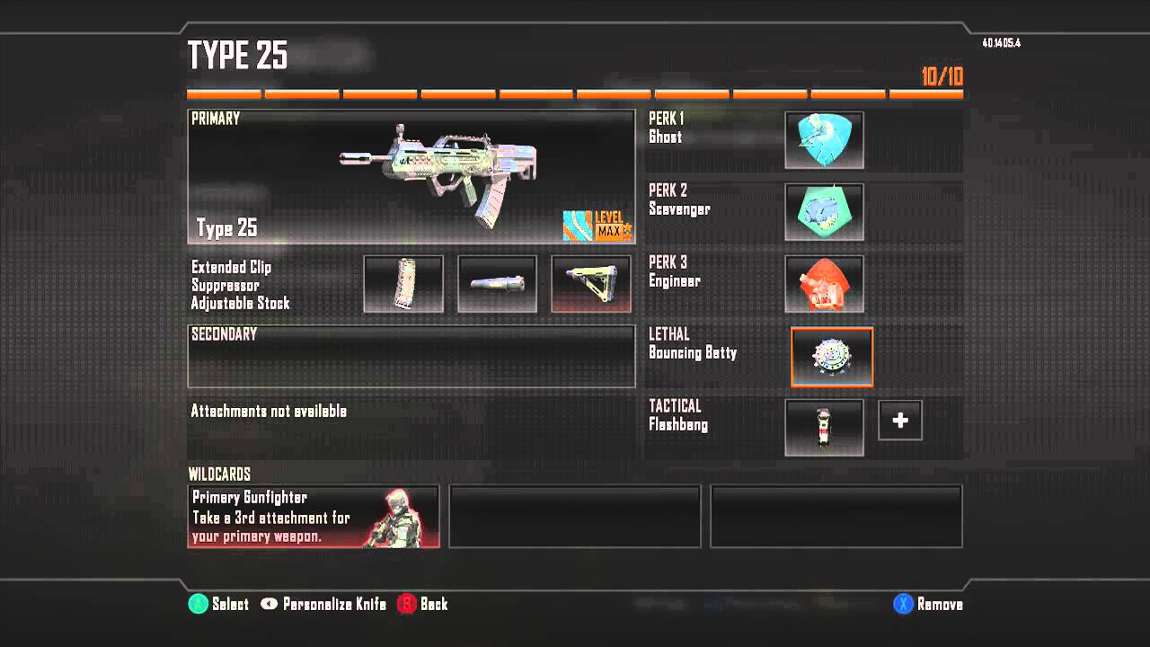 Best Bo2 Type 25 Class Setup (Nuclear Class) .