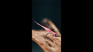 Fly tying • Bucktail Baitfish in 60 Seconds! #shorts