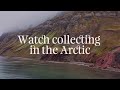 Watch Collecting in the Arctic