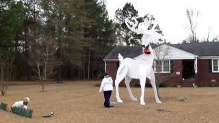 15 1/2 foot tall reindeer made from 3/4" plywood in Sumter, SC. I hade to make this when I saw the picture of it on the cover of a 