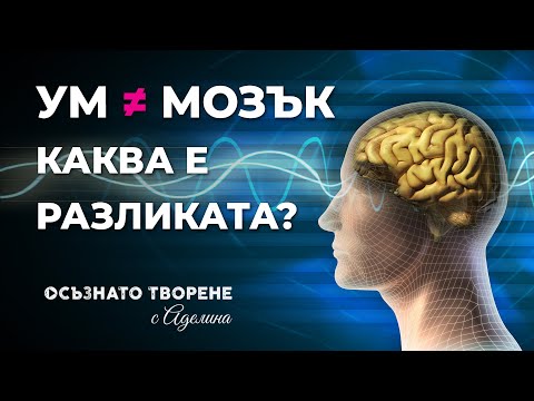 Видео: Има разлика между монохроматор и полихроматор?