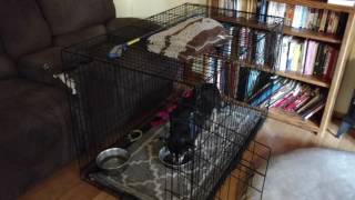 Baby Girl Comes To Visit