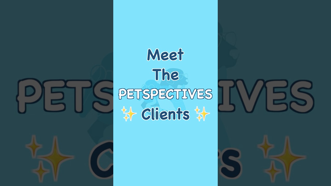 Meet the Petspectives Clients! 💖