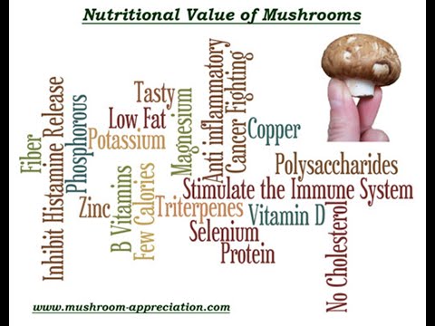 וִידֵאוֹ: בולטוס: ערך תזונתי. איך לבשל פטריות אספן?