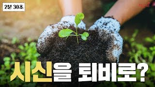 '시신 퇴비화, 빙장, 직립묘지' 장례에도 친환경 바람이 분다. 시신 존엄성 훼손일까? 시대적 흐름일까?