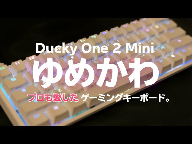 驚異の静音性＆安定性(あと可愛い😇) / Ducky One 2 Mini Pure