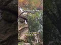 ⚠️ この動画を見た人が、経済的自由を手に入れたらしい #shorts