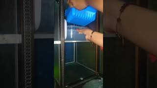 A Dy In My Life Kalteng