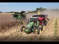 Louisiana Corn Harvest 2020