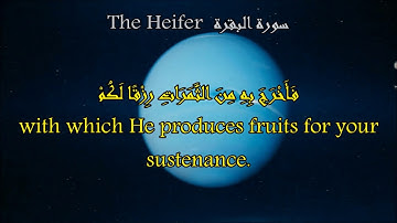 سورة البقرة الآية 21 إلى 24 _ Quran with English translation _The Heifer 21- 24 القارئ عبدالله الخلف