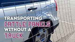 Transporting Cattle Panels Without a Truck - 8 Foot Panels in an SUV