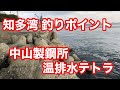 中山製鋼所 温排水テトラ 知多湾釣りポイント の動画、YouTube動画。