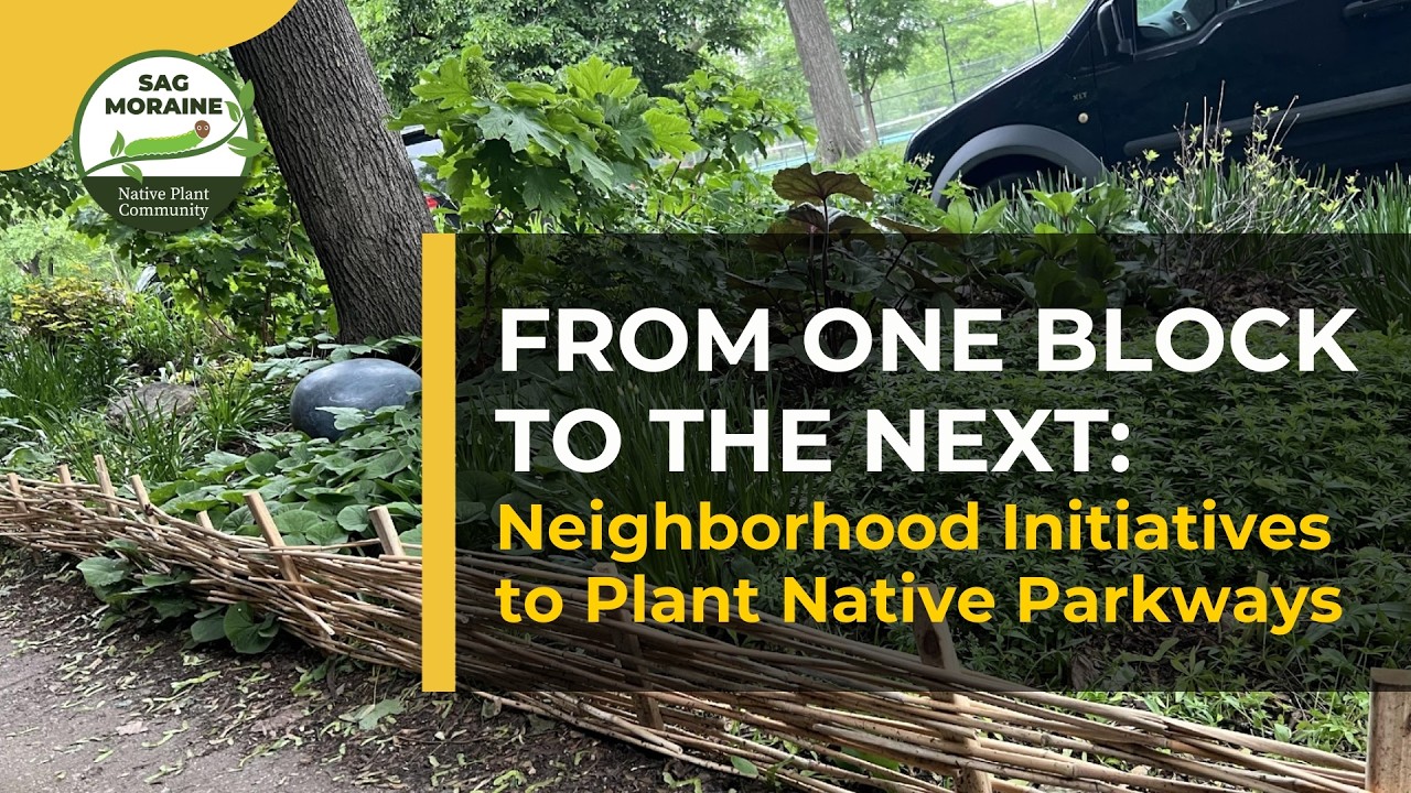 From One Block to the Next: Neighborhood Initiatives to Plant Native Parkways