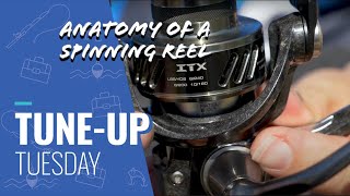 Tune Up Tuesday - Anatomy Of A Spinning Reel - Fishing Reels Dissected