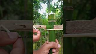 How to make mini bamboo #art