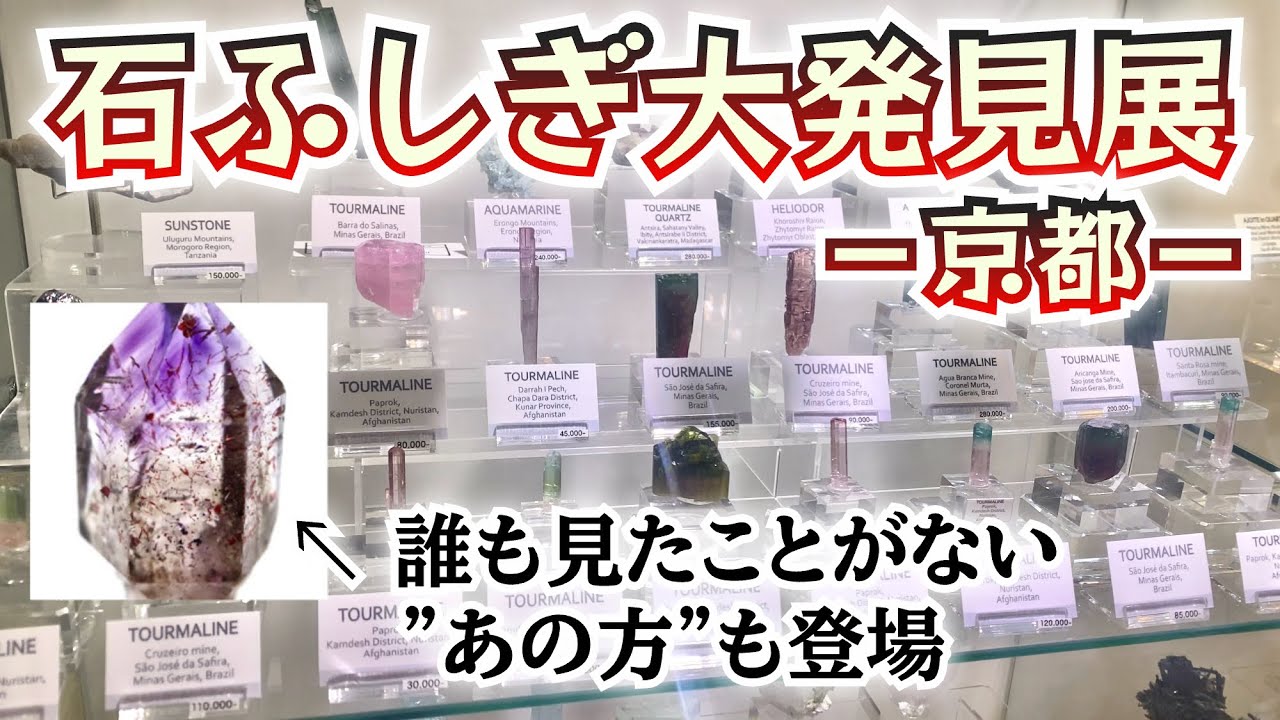 京都で見えた鉱物トレンドの最前線！【石ふしぎ大発見展2025】 - YouTube
