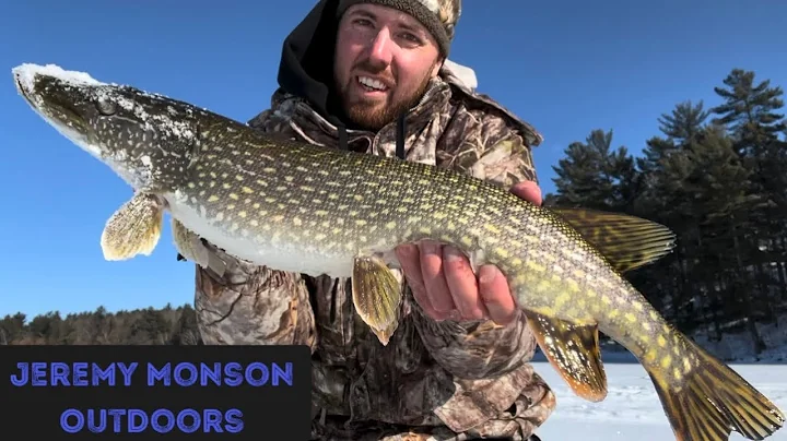 BIG Northern Pike, Ultralight Rod!!! #PersonalBest...