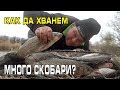 Как да хванем МНОГО СКОБАРИ? Как да си ВЪРЖЕМ ТАКЪМ...