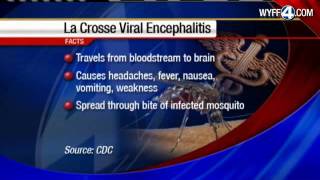 Viral Encephalitis Suspected In Childs Death