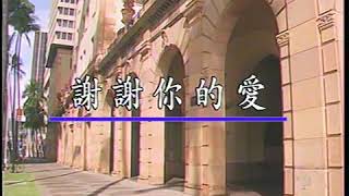 XIE XIE NI DE AI - LIU DE HUA (ANDY LAU)