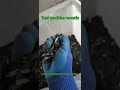 Silicone separator#plastic sorting#plastic recycling#plastic processing