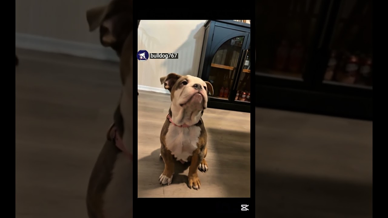 I received her as a gift.My gf adopted this baby in November for me 