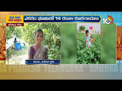 Telangana and AP Political and General News Updates | Mana Ooru Mana Varthalu | 14-10-2026 | 10TV - 10TVNEWSTELUGU