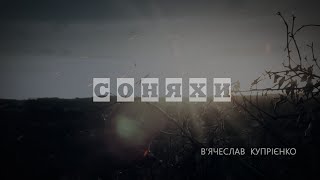 Соняхи